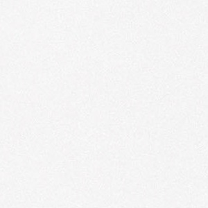 2110 Angel White.jpg