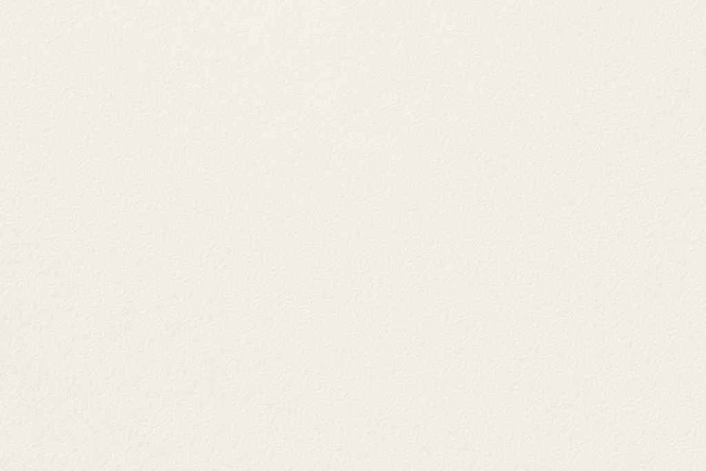 Silk Blanco Abujardado