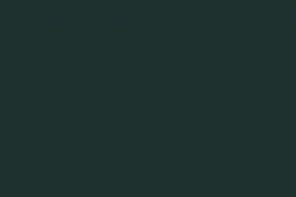 The New Blacks Muschio